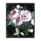 Stupell Industries Moody Roses on Black Framed Giclee Wall Art Design by Janet Tava